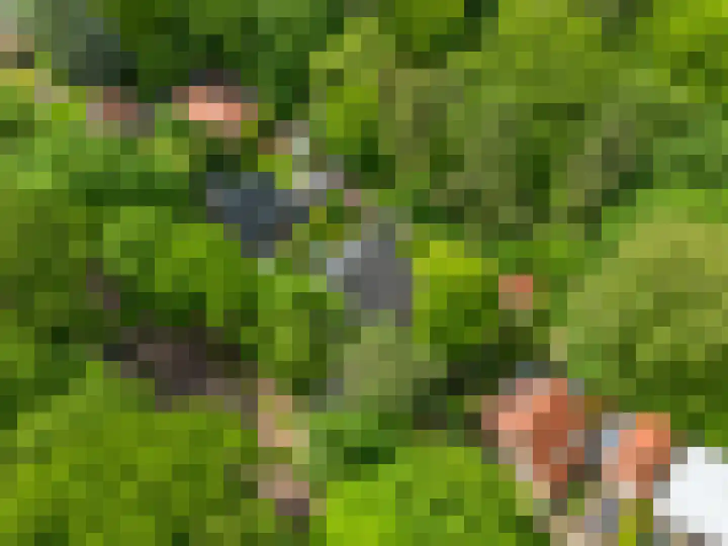 den Blieklaan 7 Soest thumbnail 36