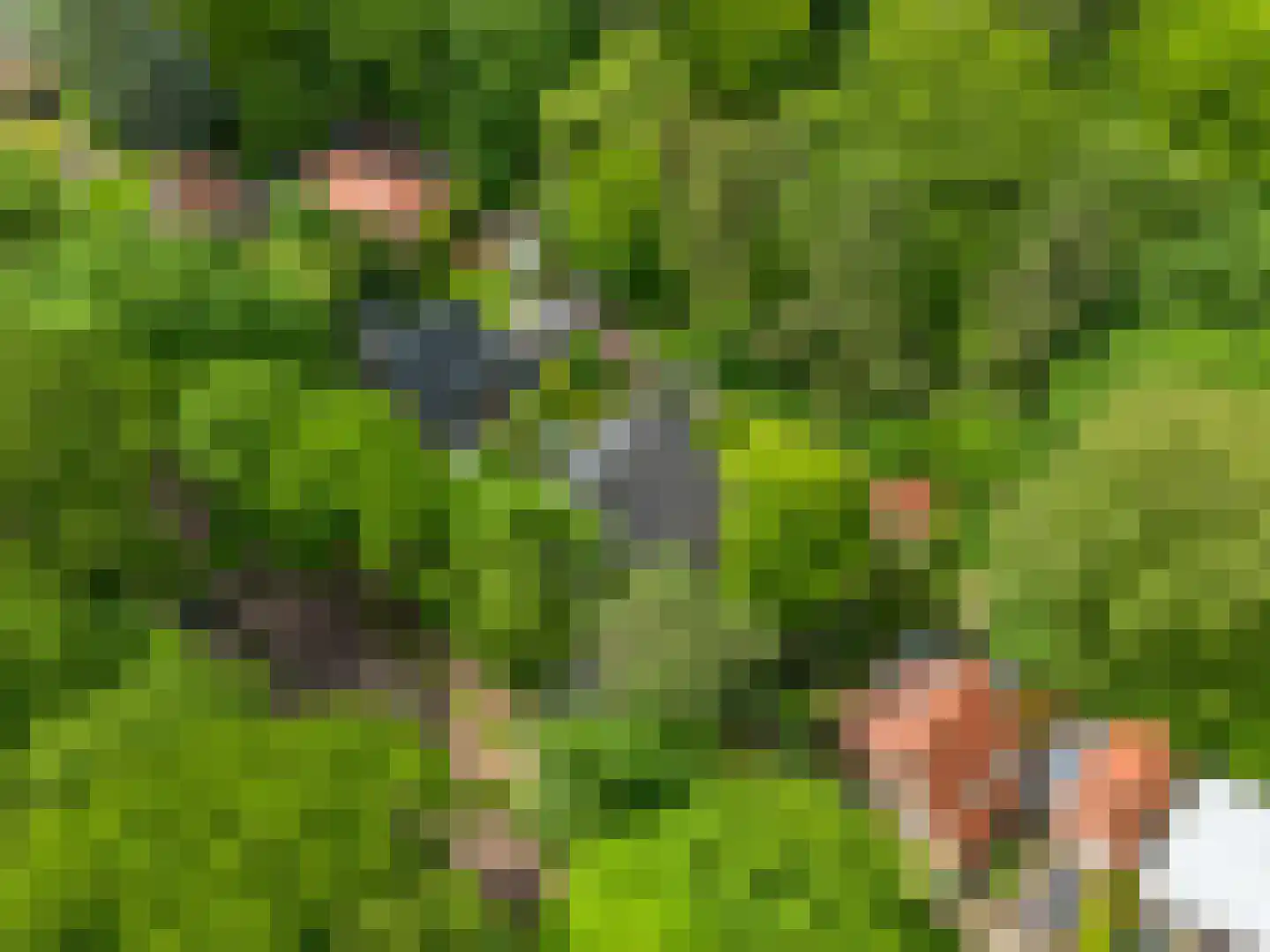 den Blieklaan 7 Soest thumbnail 36