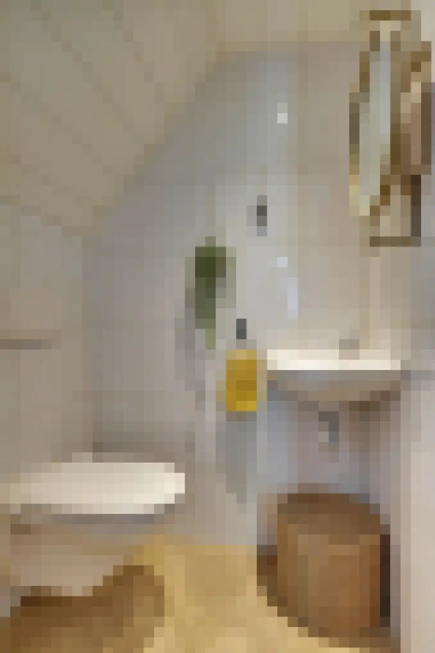 den Bogerd 15 Balgoij thumbnail 10