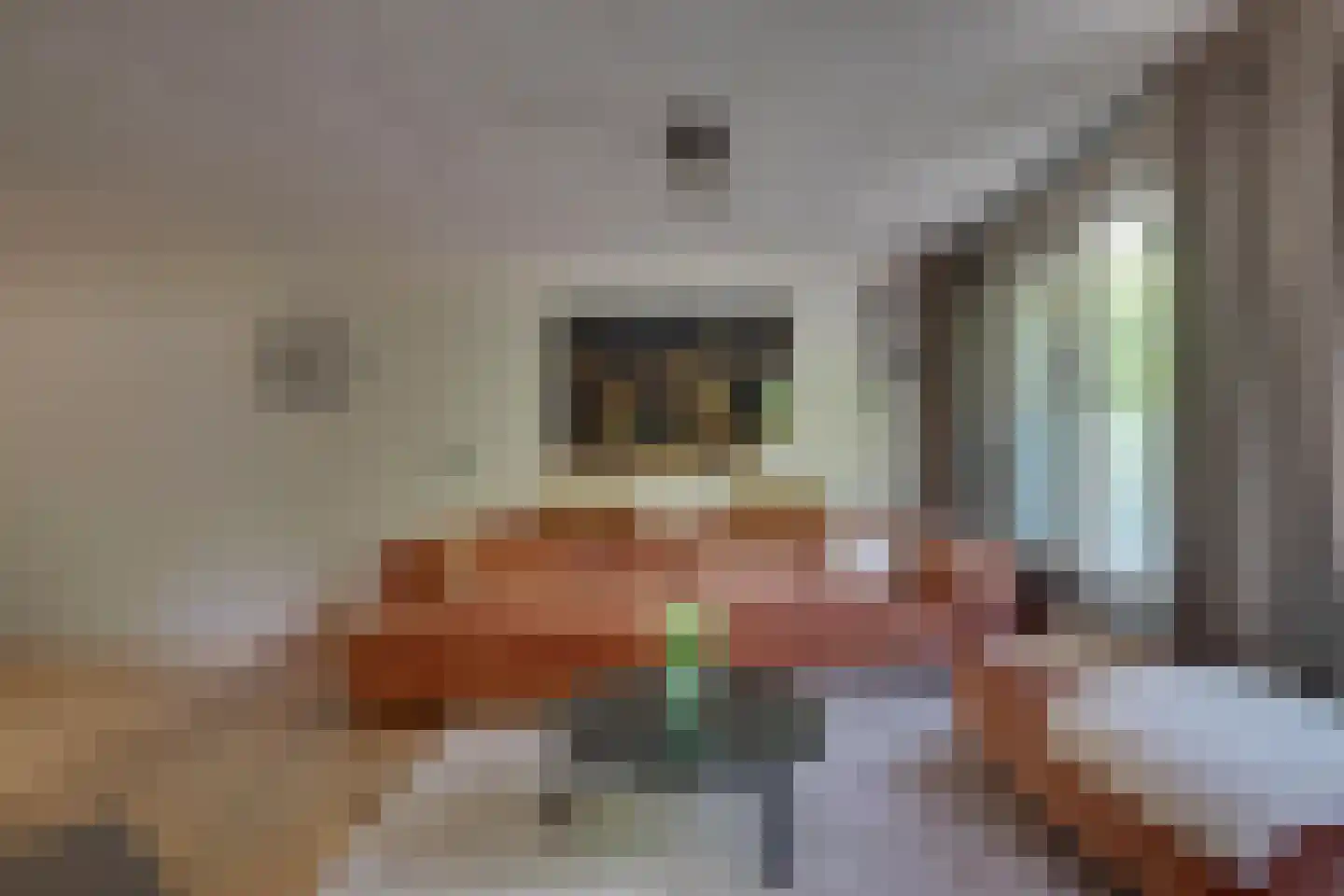 den Bogerd 15 Balgoij thumbnail 12