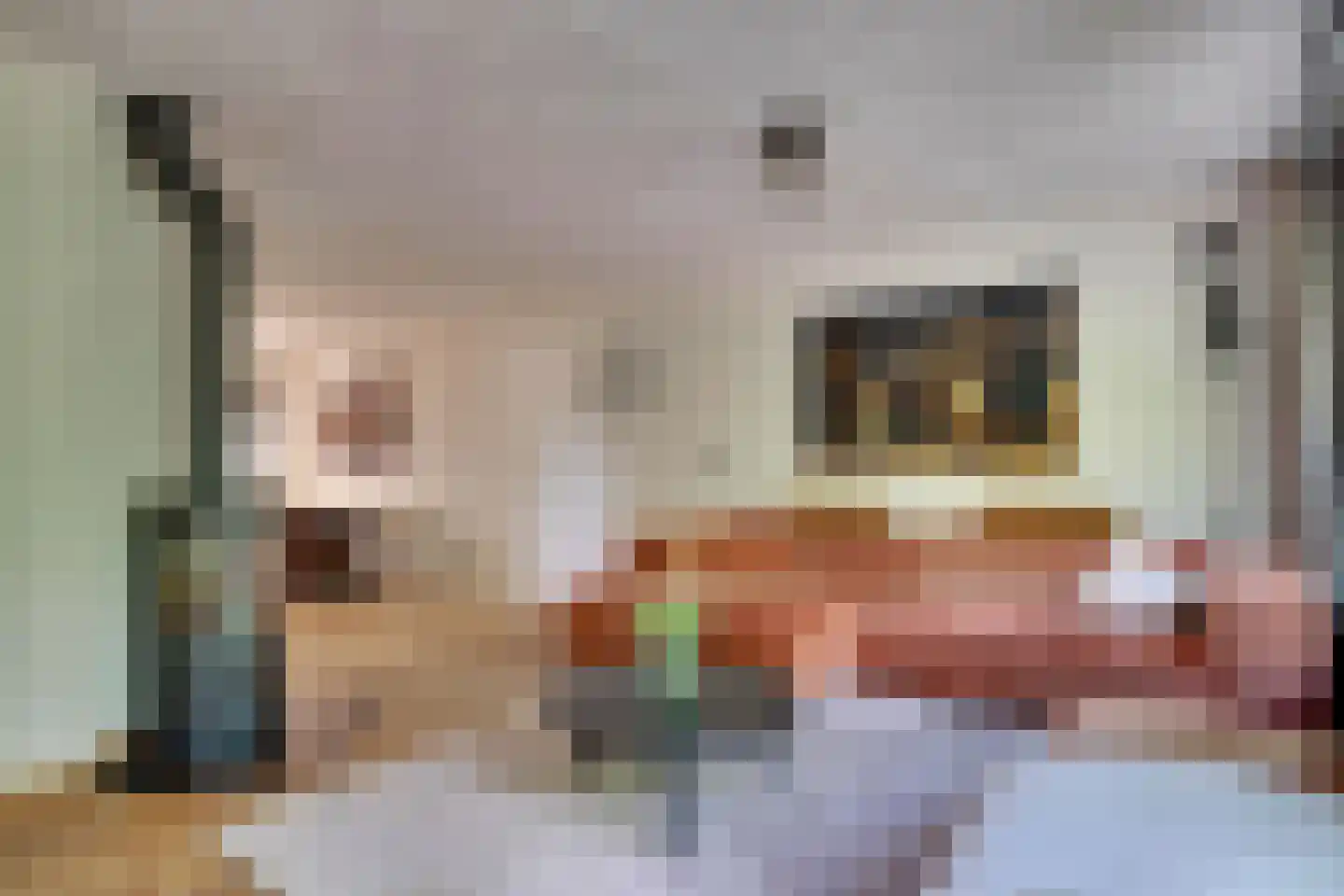 den Bogerd 15 Balgoij thumbnail 13