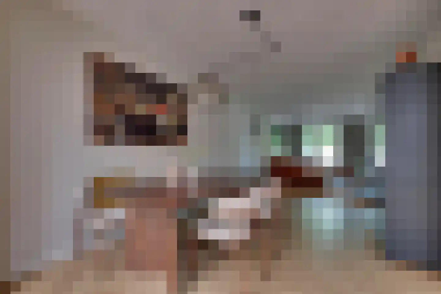 den Bogerd 15 Balgoij thumbnail 15