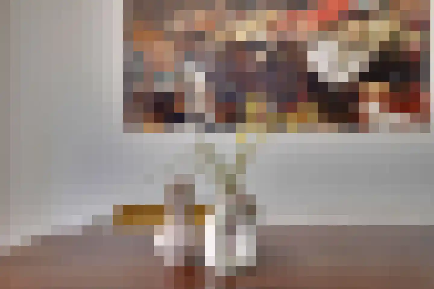 den Bogerd 15 Balgoij thumbnail 16