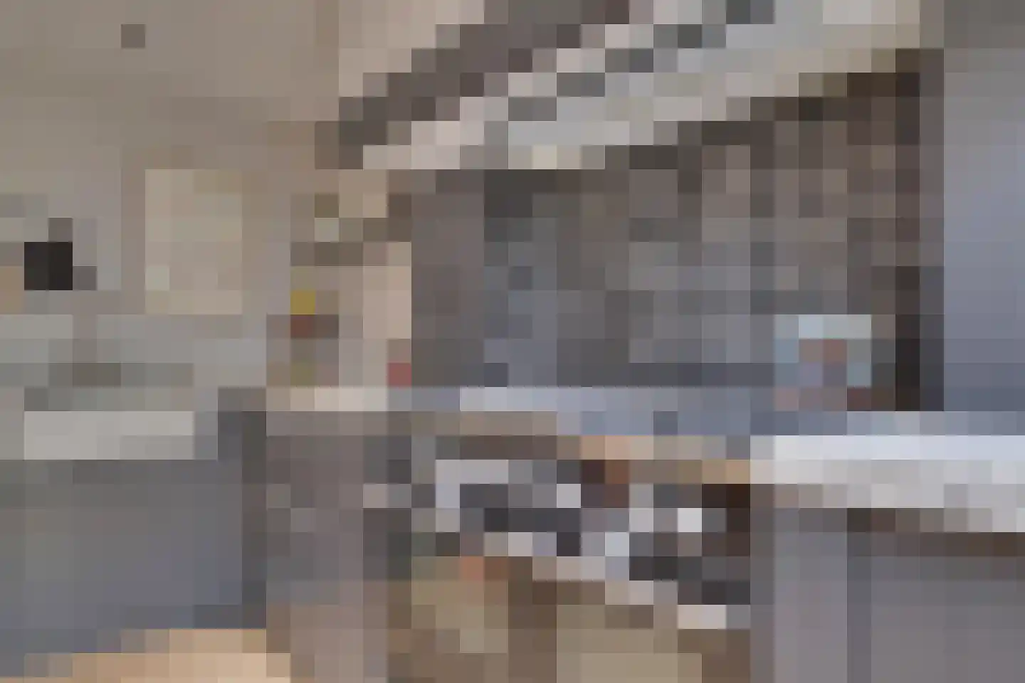 den Bogerd 15 Balgoij thumbnail 19