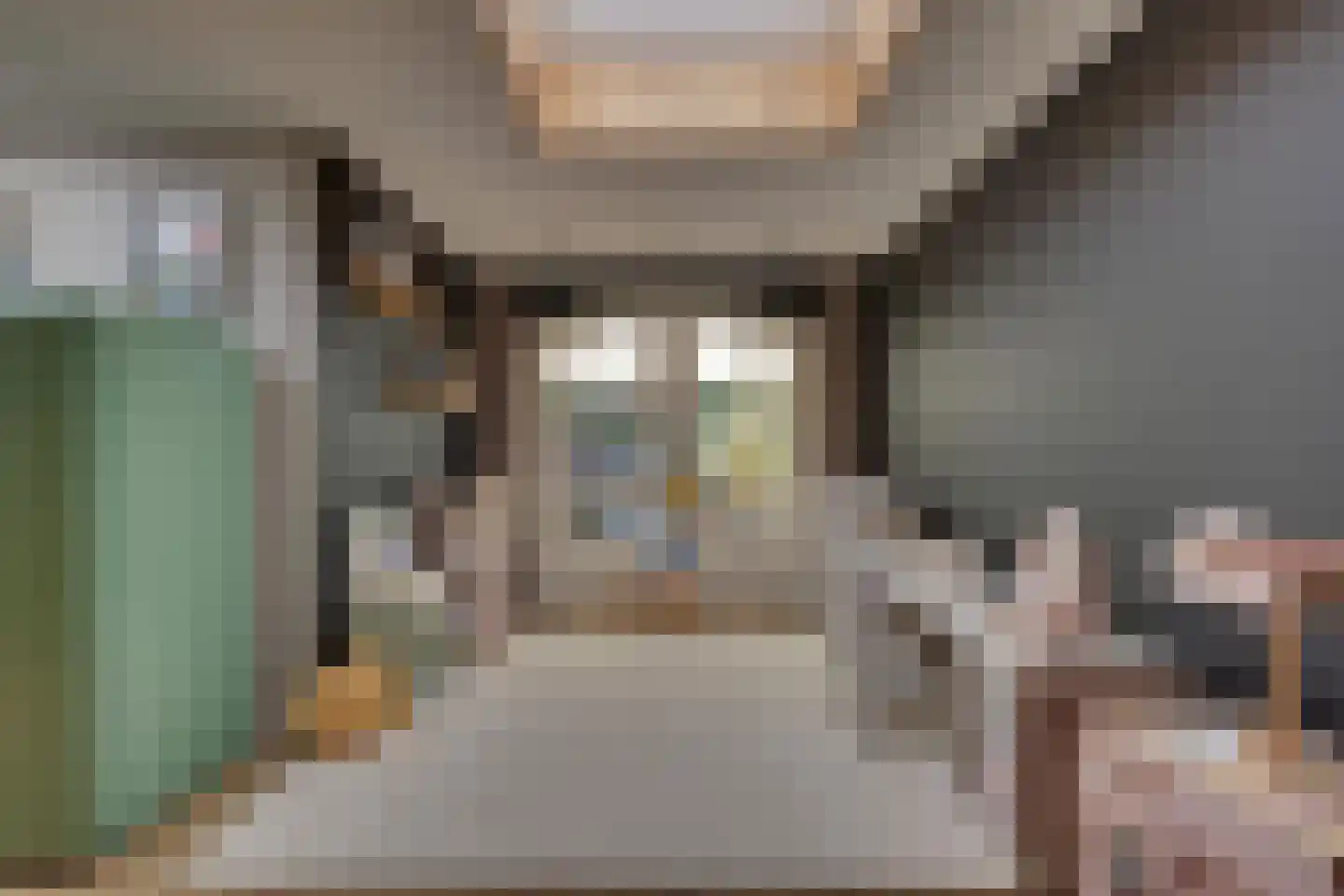 den Bogerd 15 Balgoij thumbnail 21