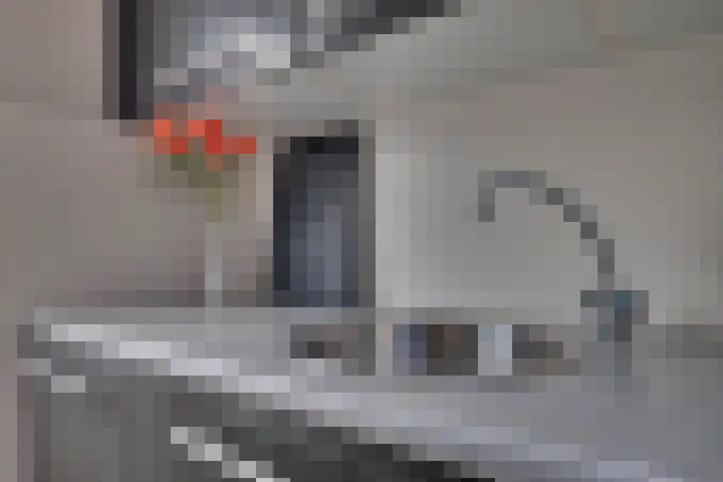 den Bogerd 15 Balgoij thumbnail 23