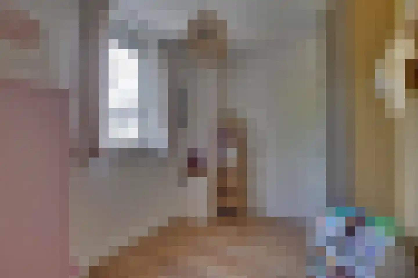 den Bogerd 15 Balgoij thumbnail 28