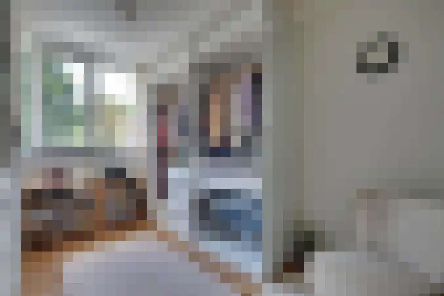 den Bogerd 15 Balgoij thumbnail 29