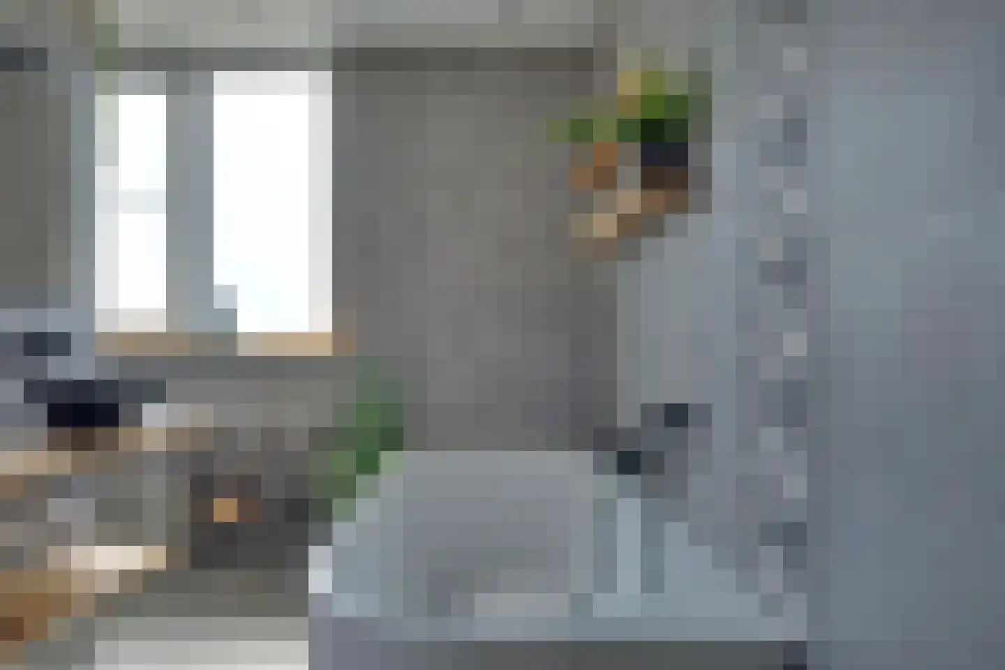 den Bogerd 15 Balgoij thumbnail 31