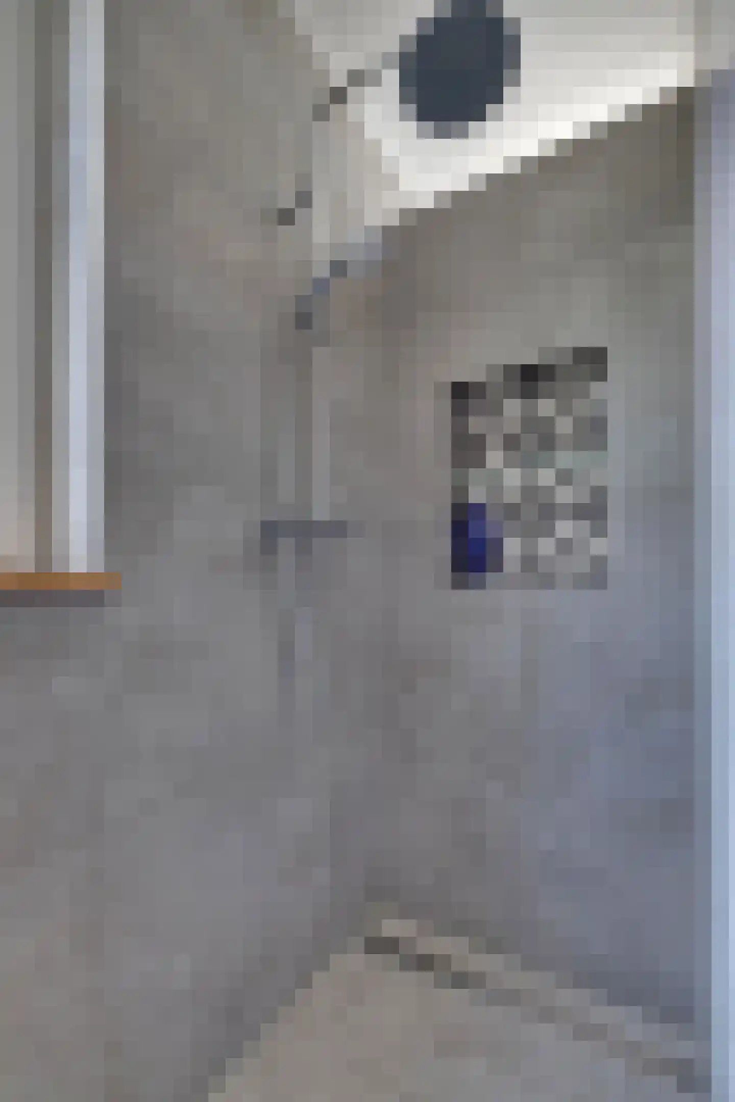 den Bogerd 15 Balgoij thumbnail 33