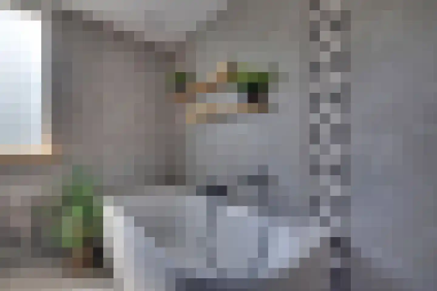 den Bogerd 15 Balgoij thumbnail 35