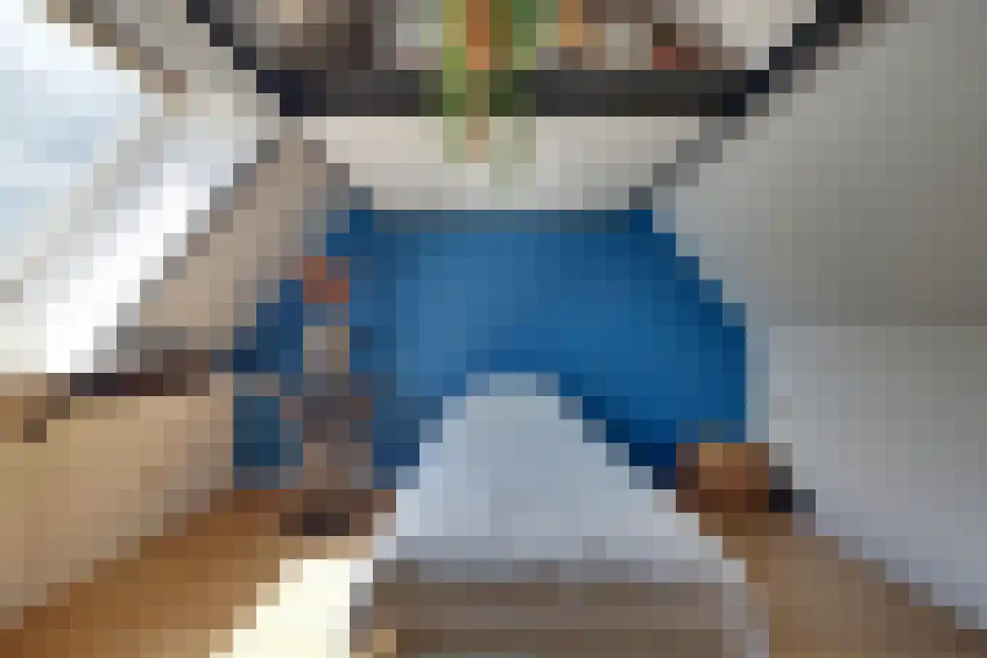den Bogerd 15 Balgoij thumbnail 38