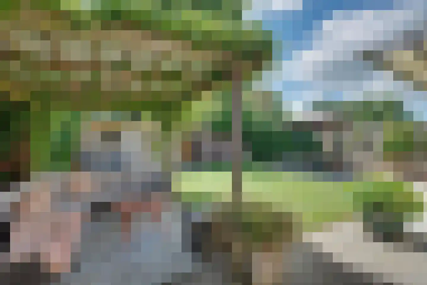 den Bogerd 15 Balgoij thumbnail 4