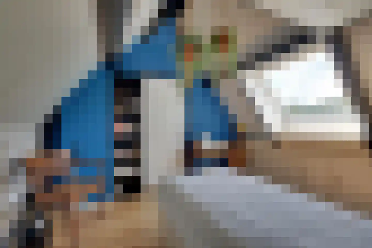 den Bogerd 15 Balgoij thumbnail 40