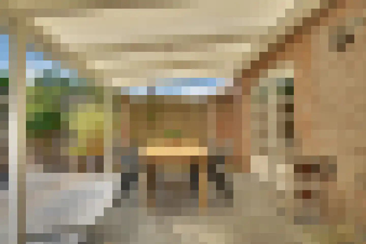 den Bogerd 15 Balgoij thumbnail 41