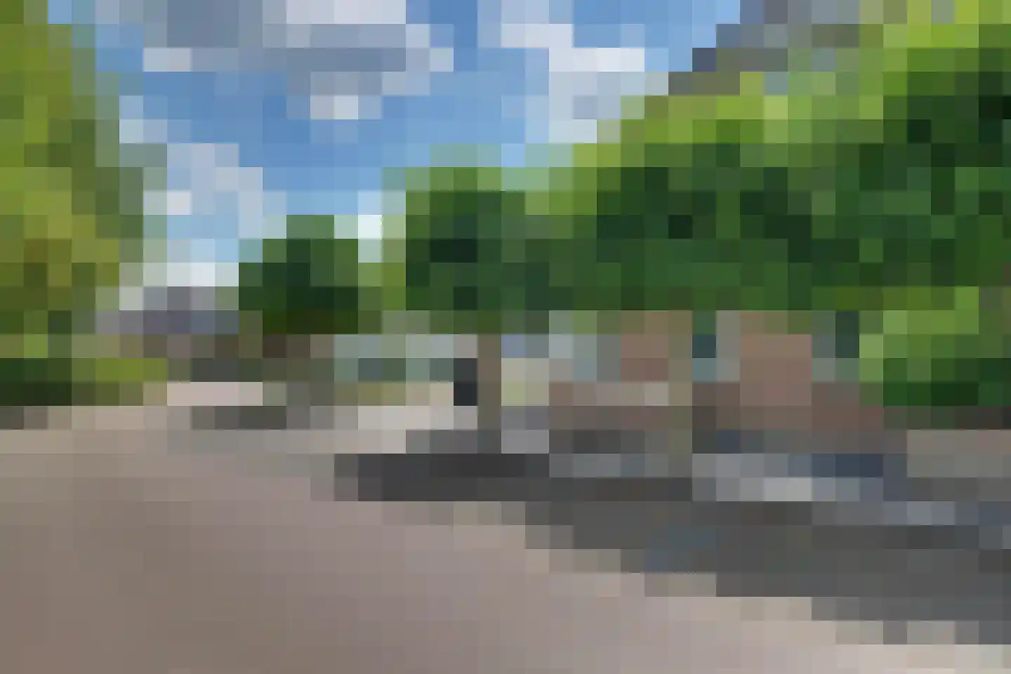 den Bogerd 15 Balgoij thumbnail 6
