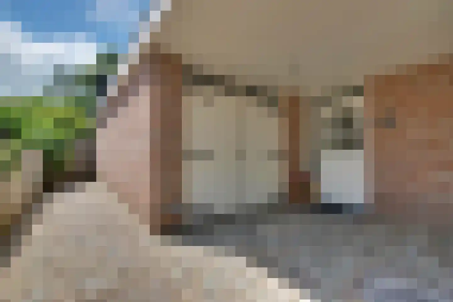den Bogerd 15 Balgoij thumbnail 8