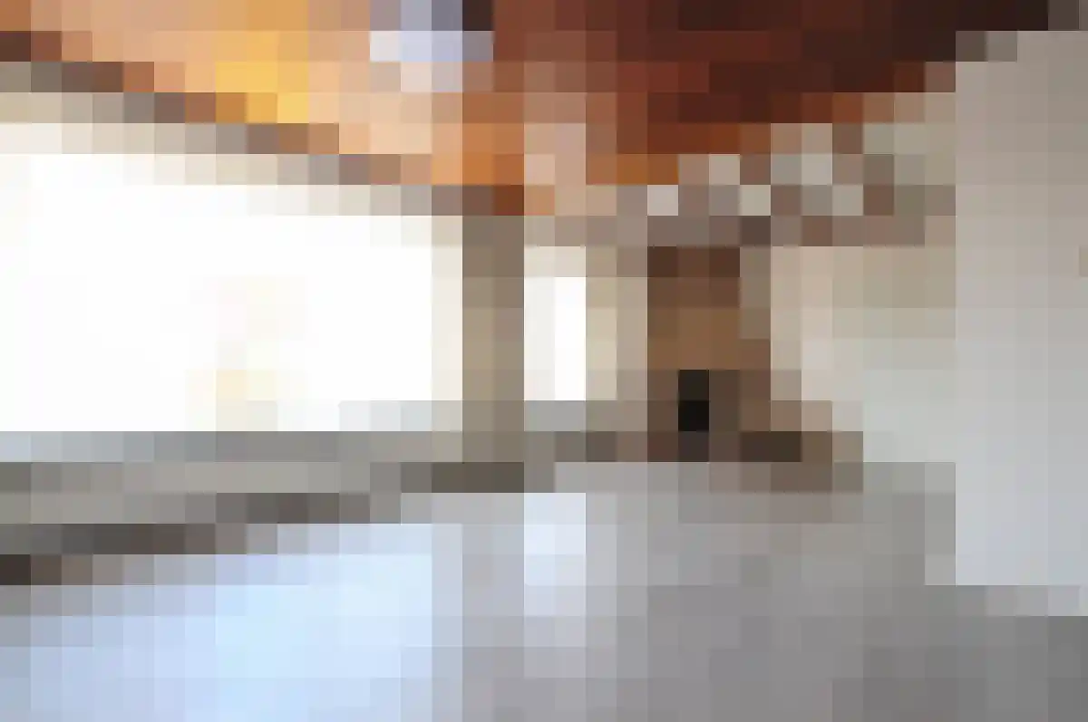 Den Bogerd 26 Hoogeloon thumbnail 6