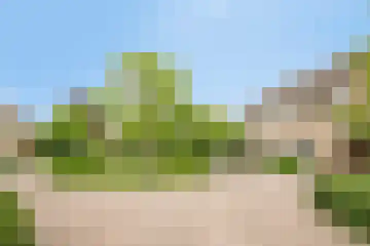 Den Bogerd 36 Esch foto 3