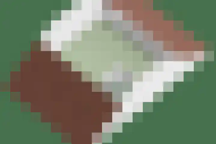 Den Bogerd 36 Esch thumbnail 44