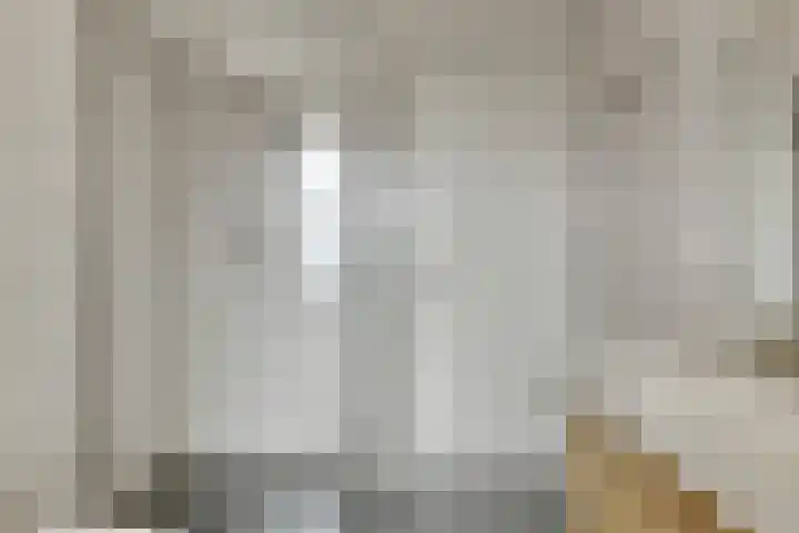 Den Bogerd 36 Esch thumbnail 6