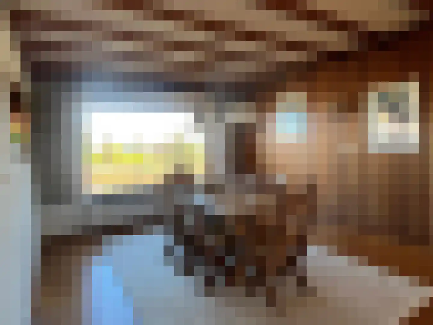 Den Bogerd 9 Meerlo thumbnail 10