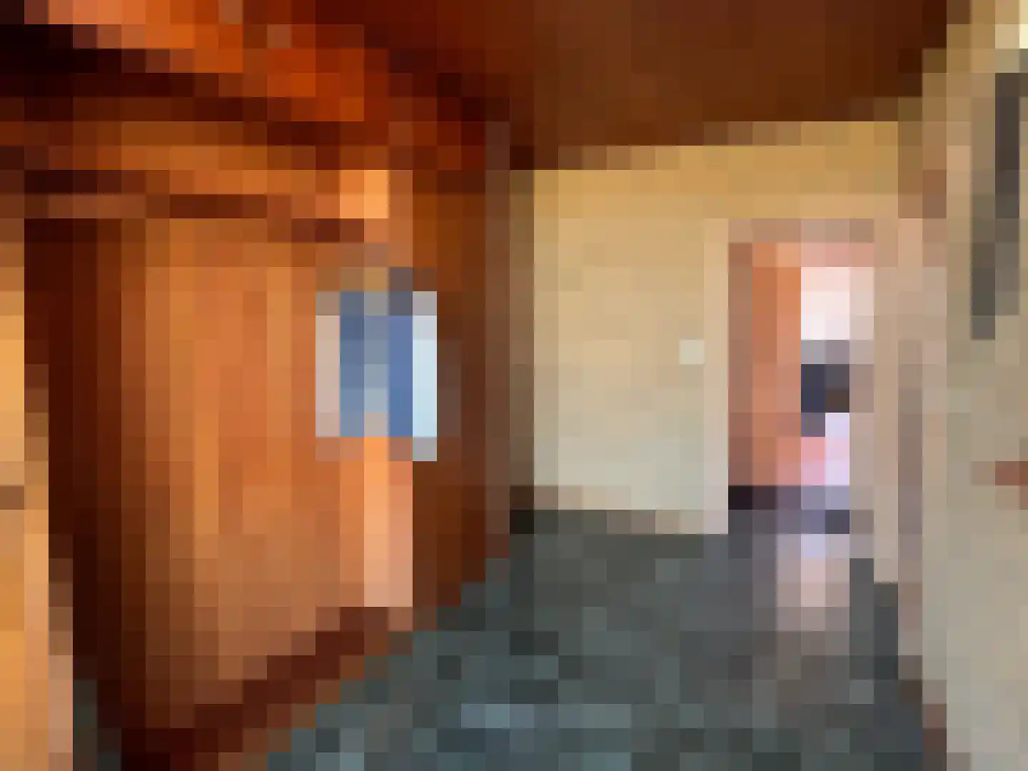 Den Bogerd 9 Meerlo thumbnail 12