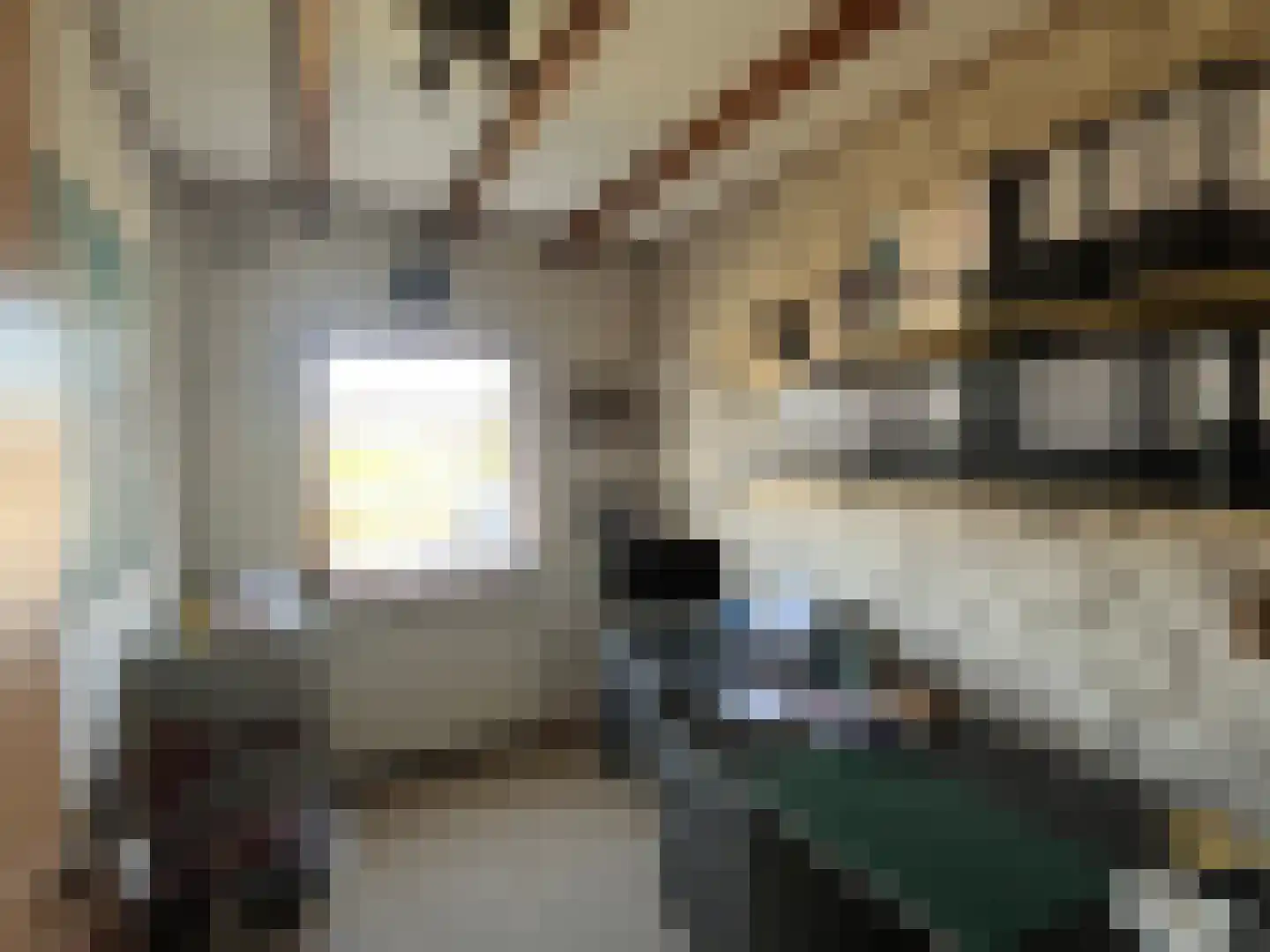Den Bogerd 9 Meerlo thumbnail 13