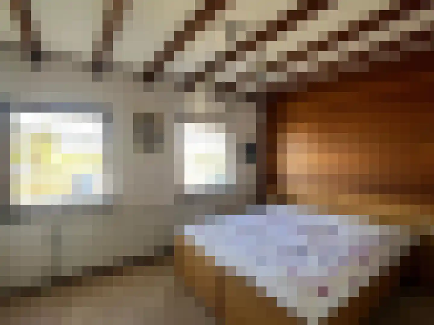 Den Bogerd 9 Meerlo thumbnail 14