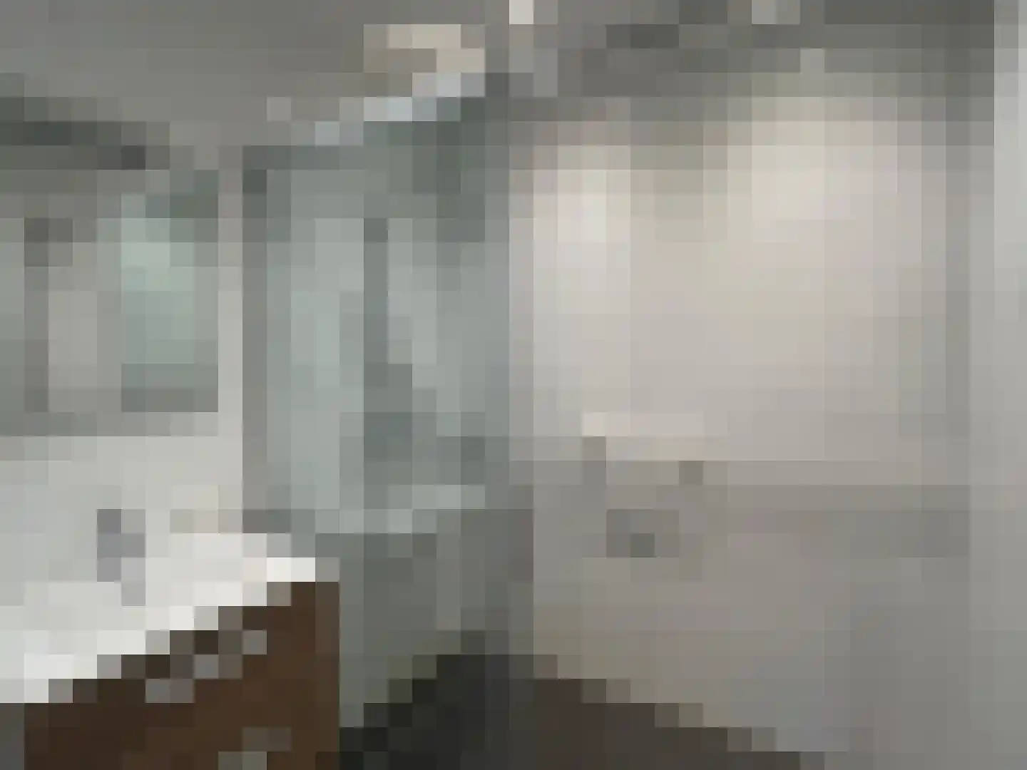 Den Bogerd 9 Meerlo thumbnail 17