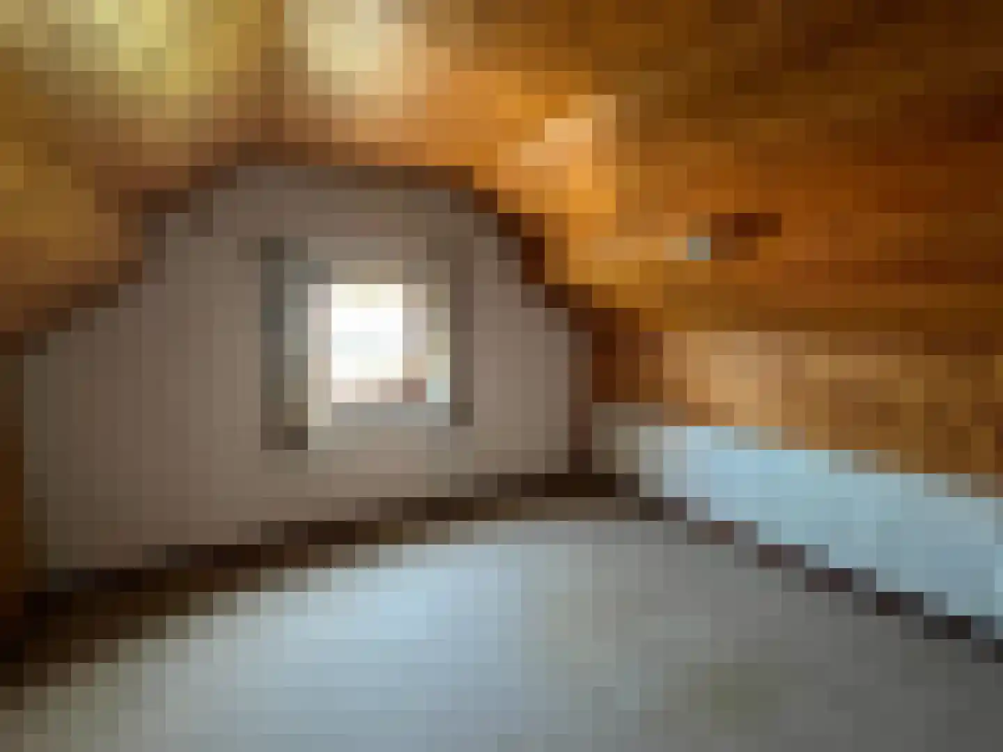 Den Bogerd 9 Meerlo thumbnail 18