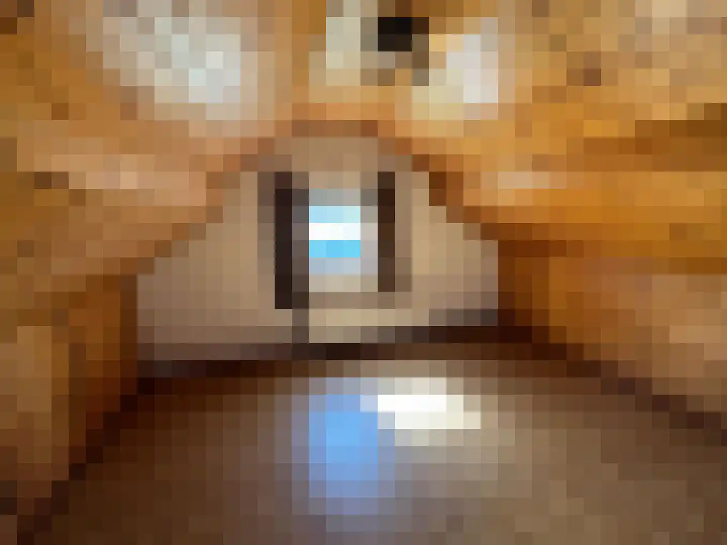Den Bogerd 9 Meerlo thumbnail 20