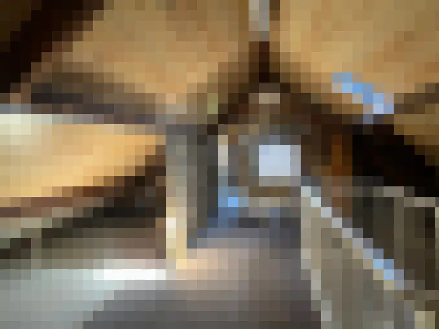 Den Bogerd 9 Meerlo thumbnail 21