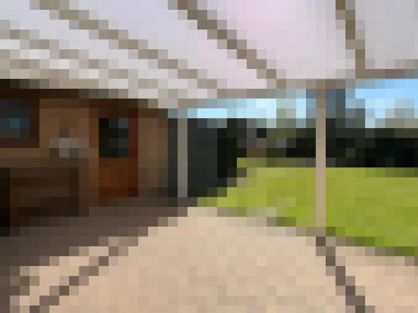 Den Bogerd 9 Meerlo thumbnail 24