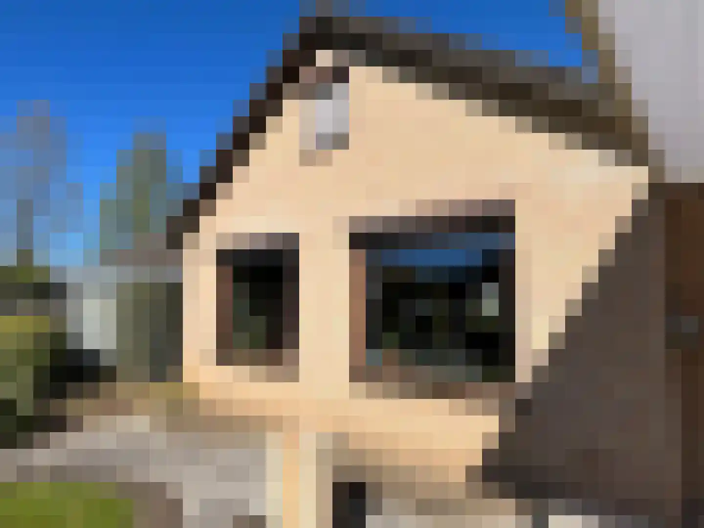 Den Bogerd 9 Meerlo thumbnail 29