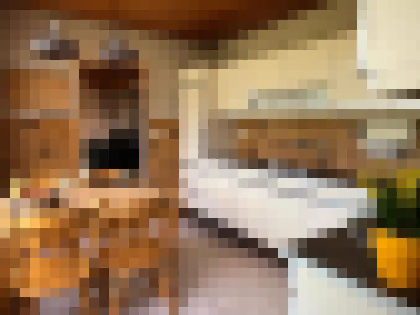 Den Bogerd 9 Meerlo thumbnail 4