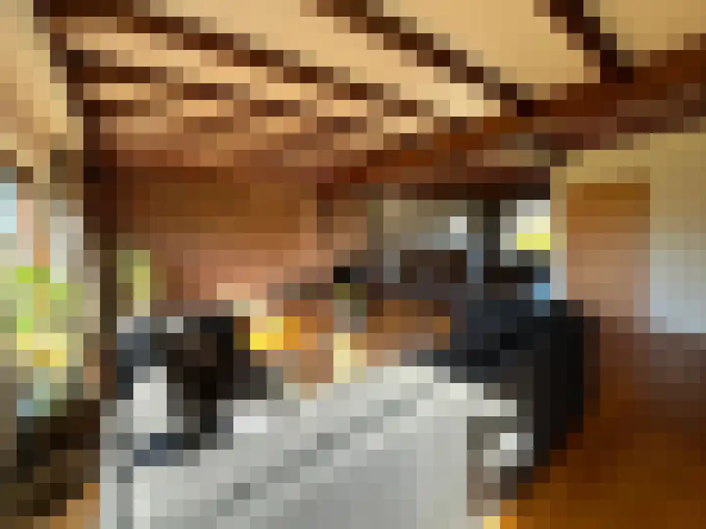 Den Bogerd 9 Meerlo thumbnail 5