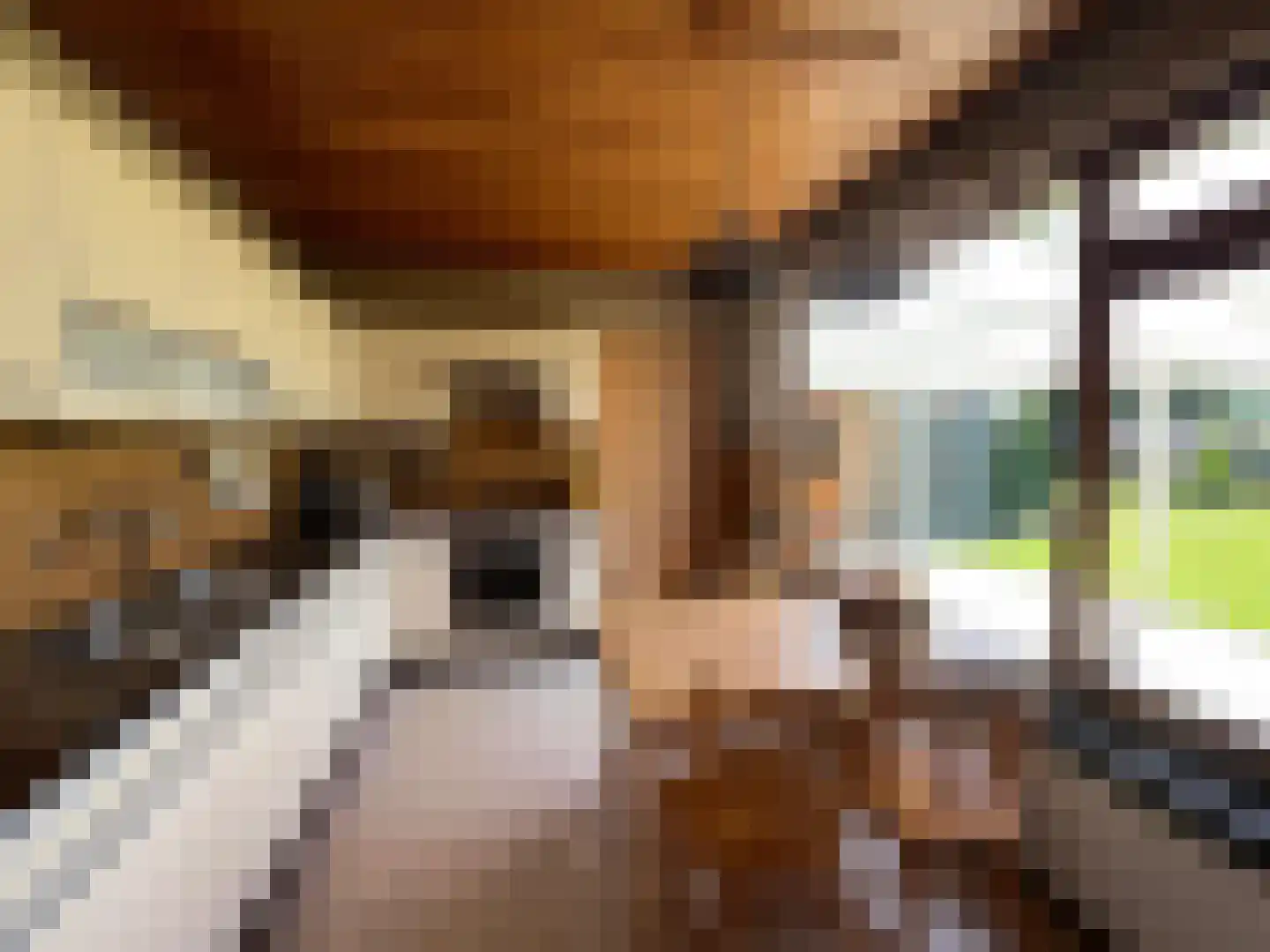 Den Bogerd 9 Meerlo thumbnail 7