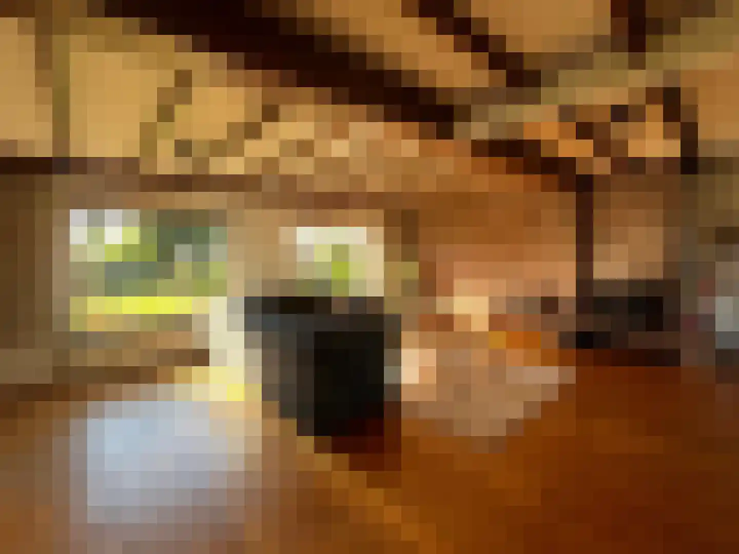 Den Bogerd 9 Meerlo thumbnail 8