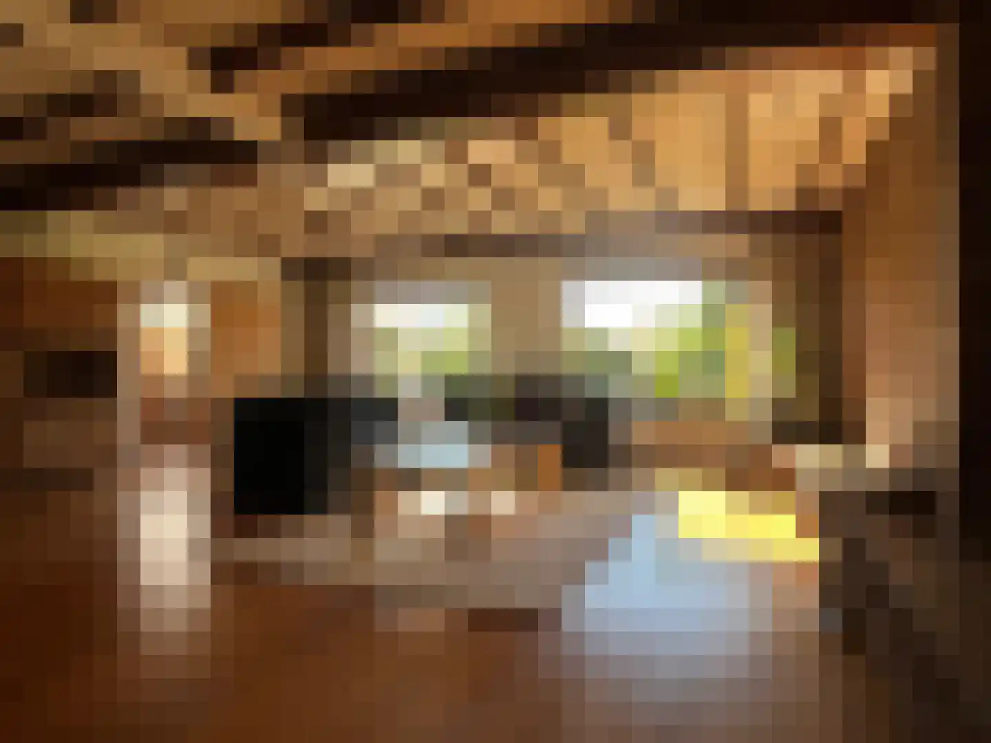 Den Bogerd 9 Meerlo thumbnail 9