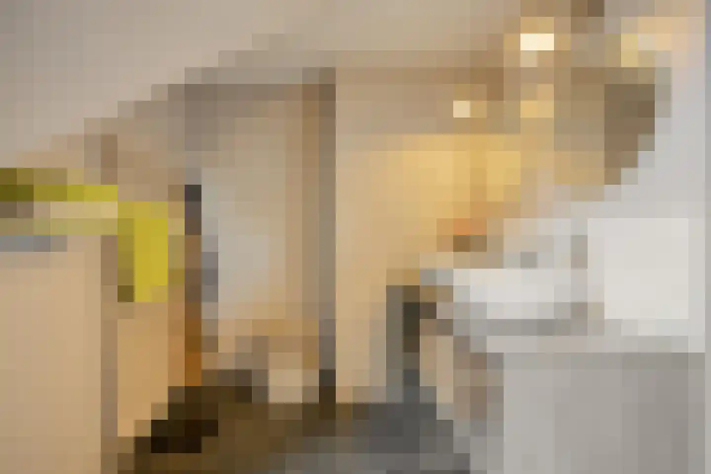 Den Bogert 43 Oijen thumbnail 25