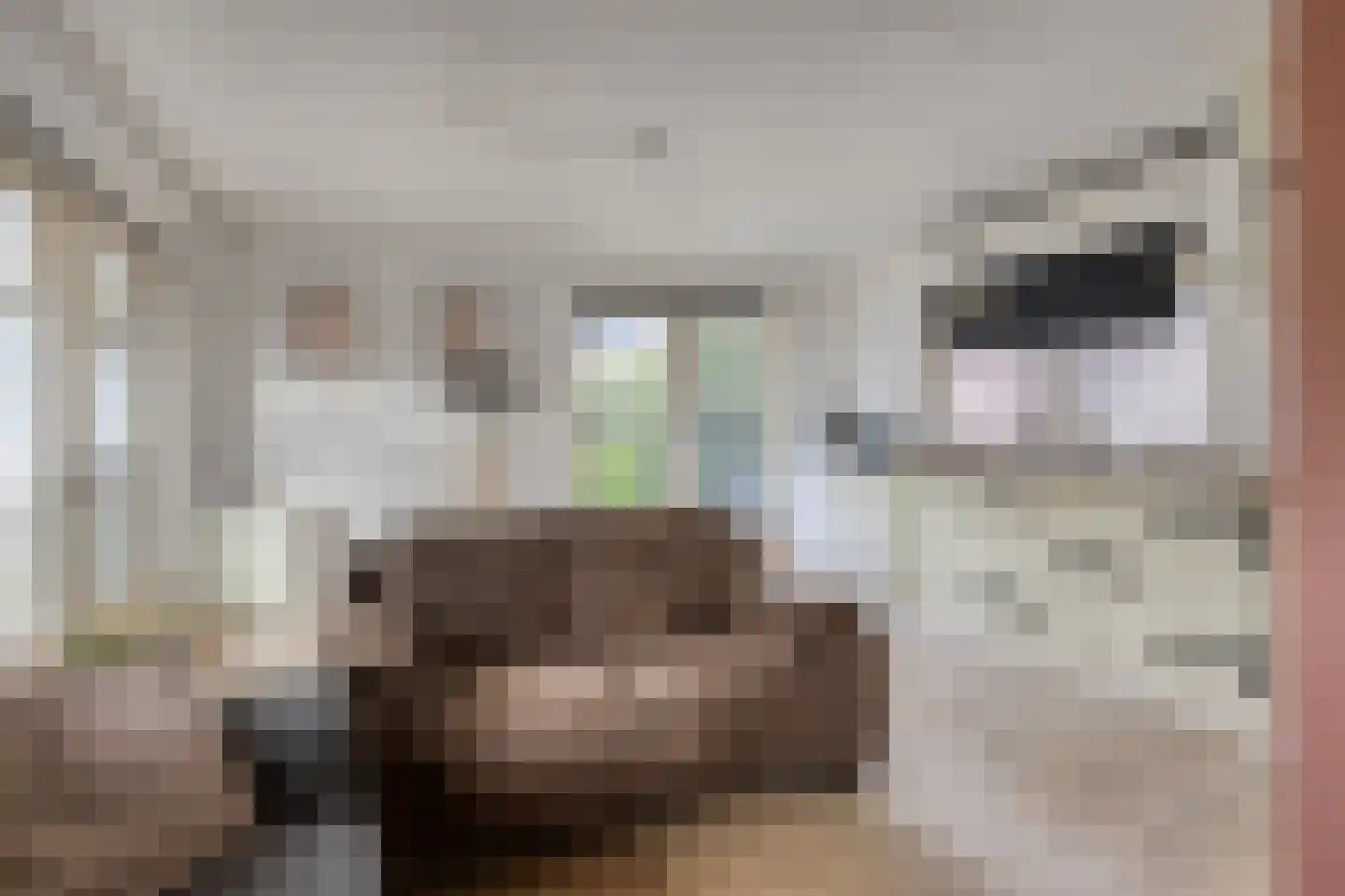 Den Bogert 43 Oijen thumbnail 34