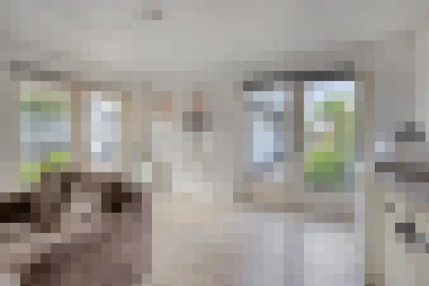 Den Bogert 43 Oijen thumbnail 35