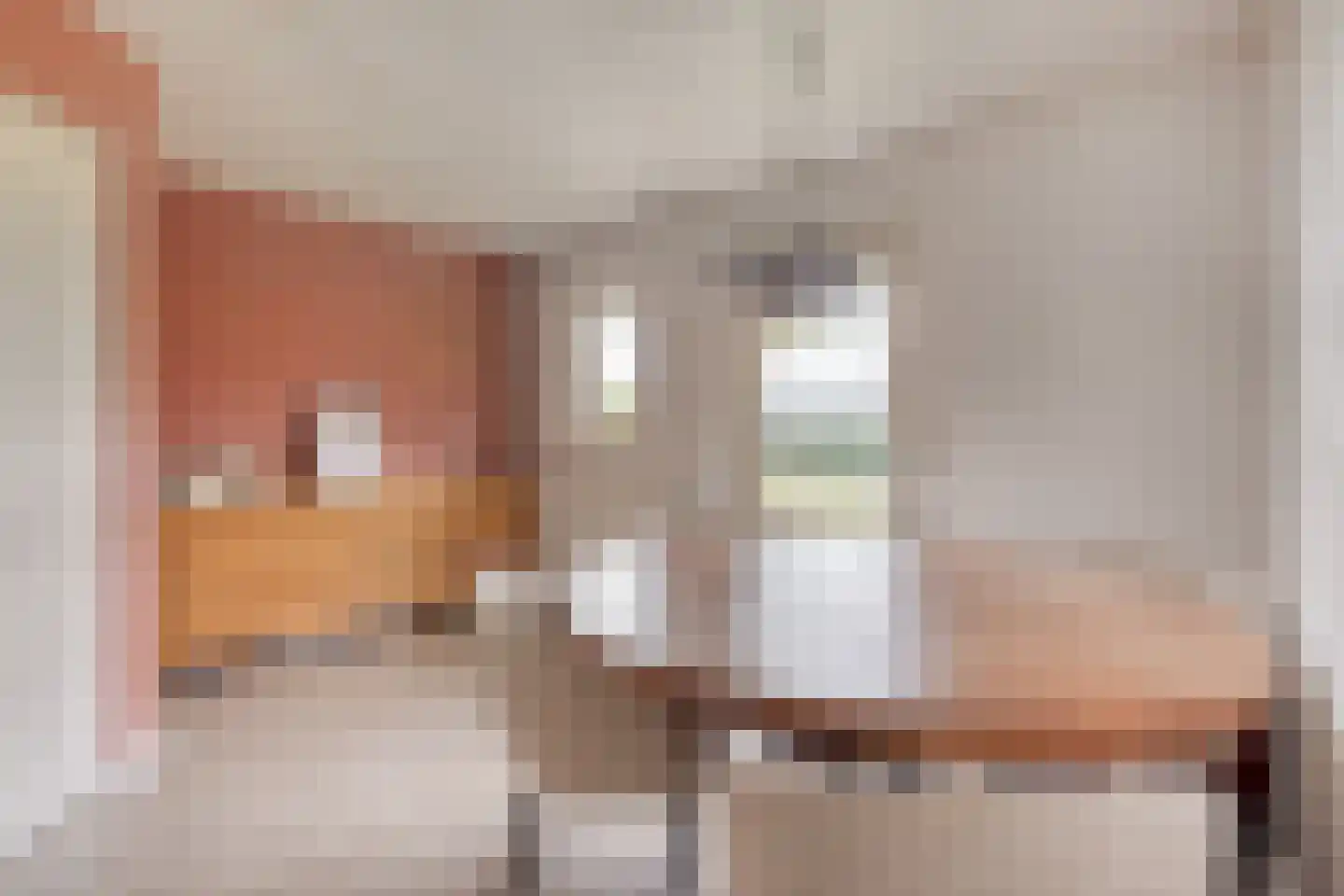 Den Bogert 43 Oijen thumbnail 39