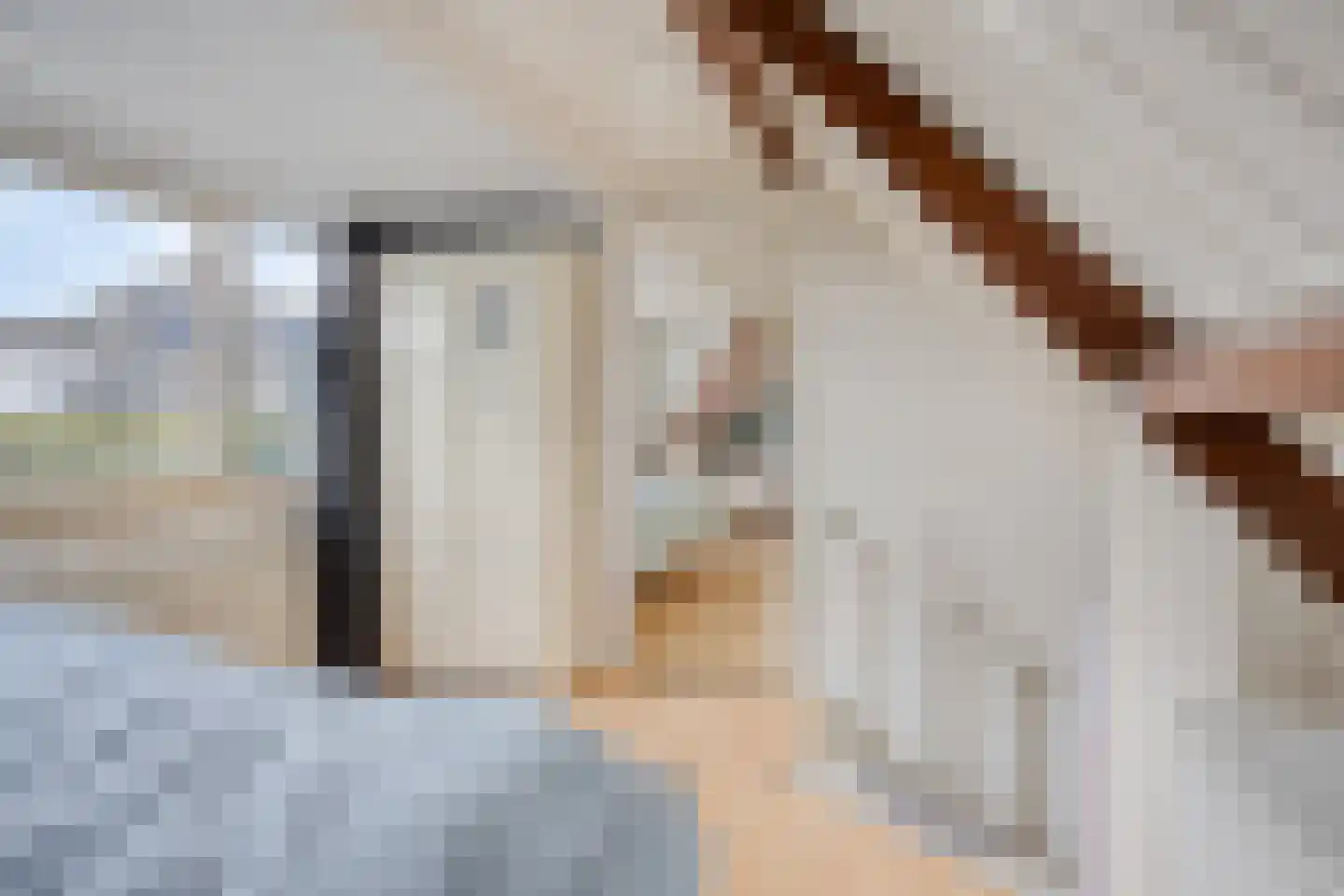 Den Bogert 43 Oijen thumbnail 42