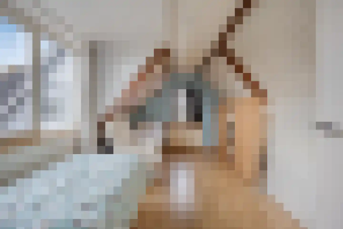 Den Bogert 43 Oijen thumbnail 43
