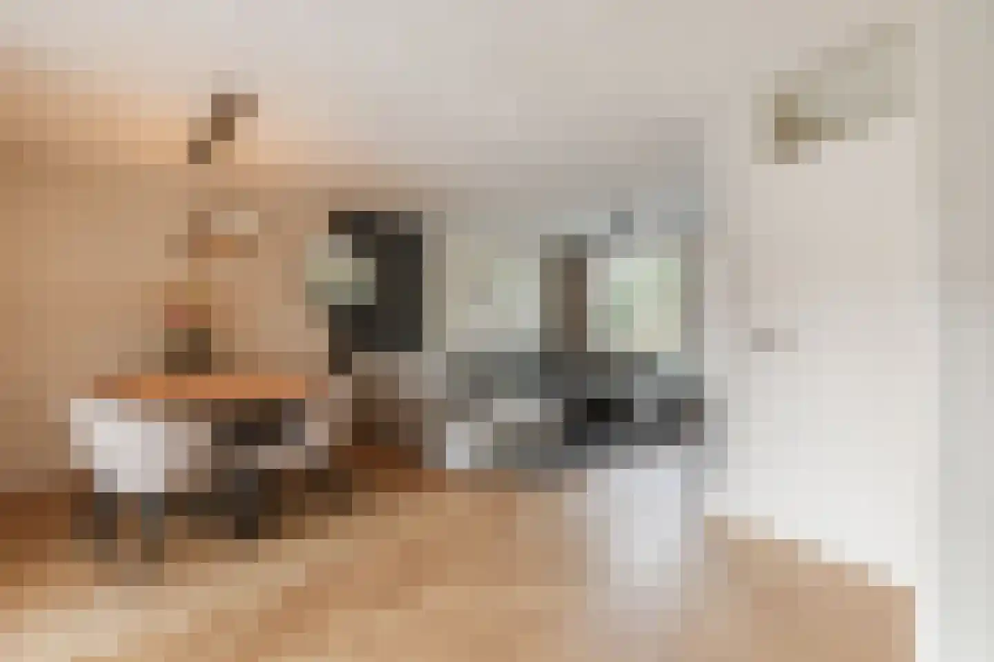 Den Bommelaer 5 Bergeijk thumbnail 11