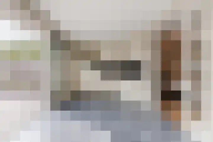 Den Bommelaer 5 Bergeijk thumbnail 14
