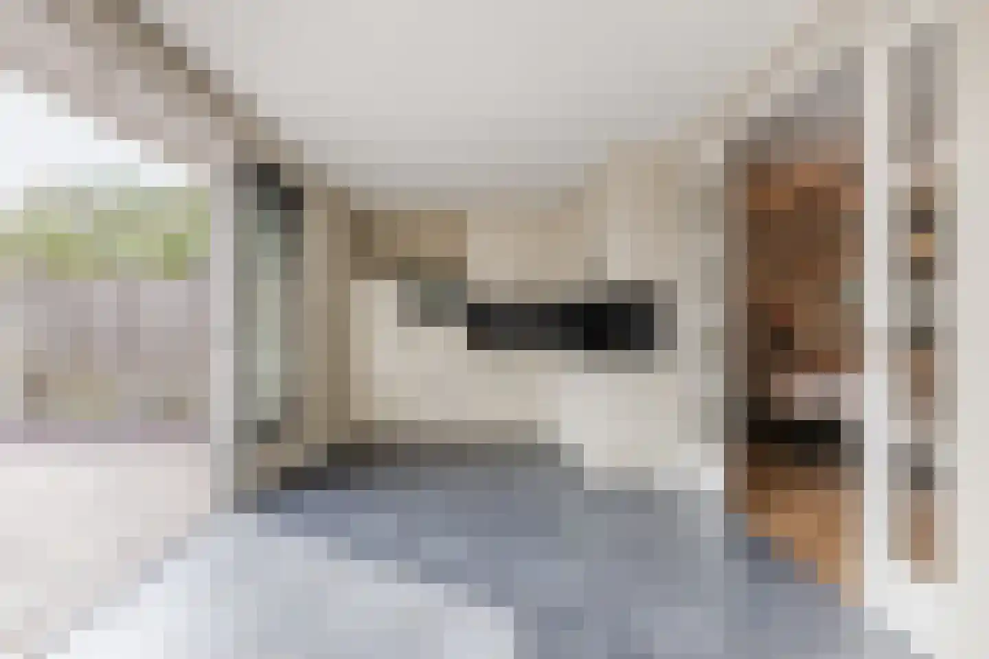 Den Bommelaer 5 Bergeijk thumbnail 14