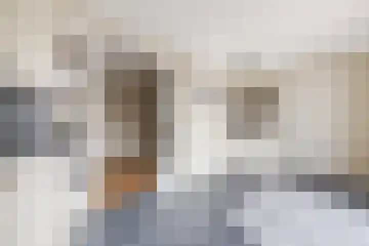 Den Bommelaer 5 Bergeijk thumbnail 16